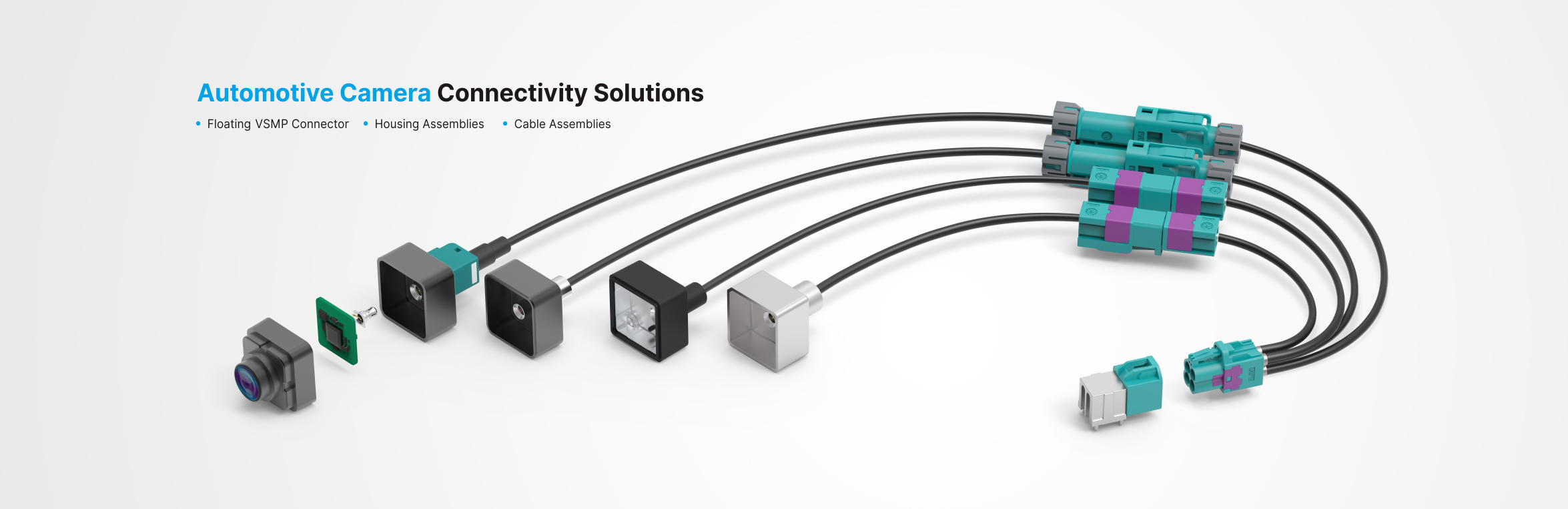 202WEBsite upgrat.jpg